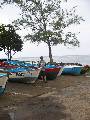 Click for preview picture of "IMG_1403 (360 x 480)"